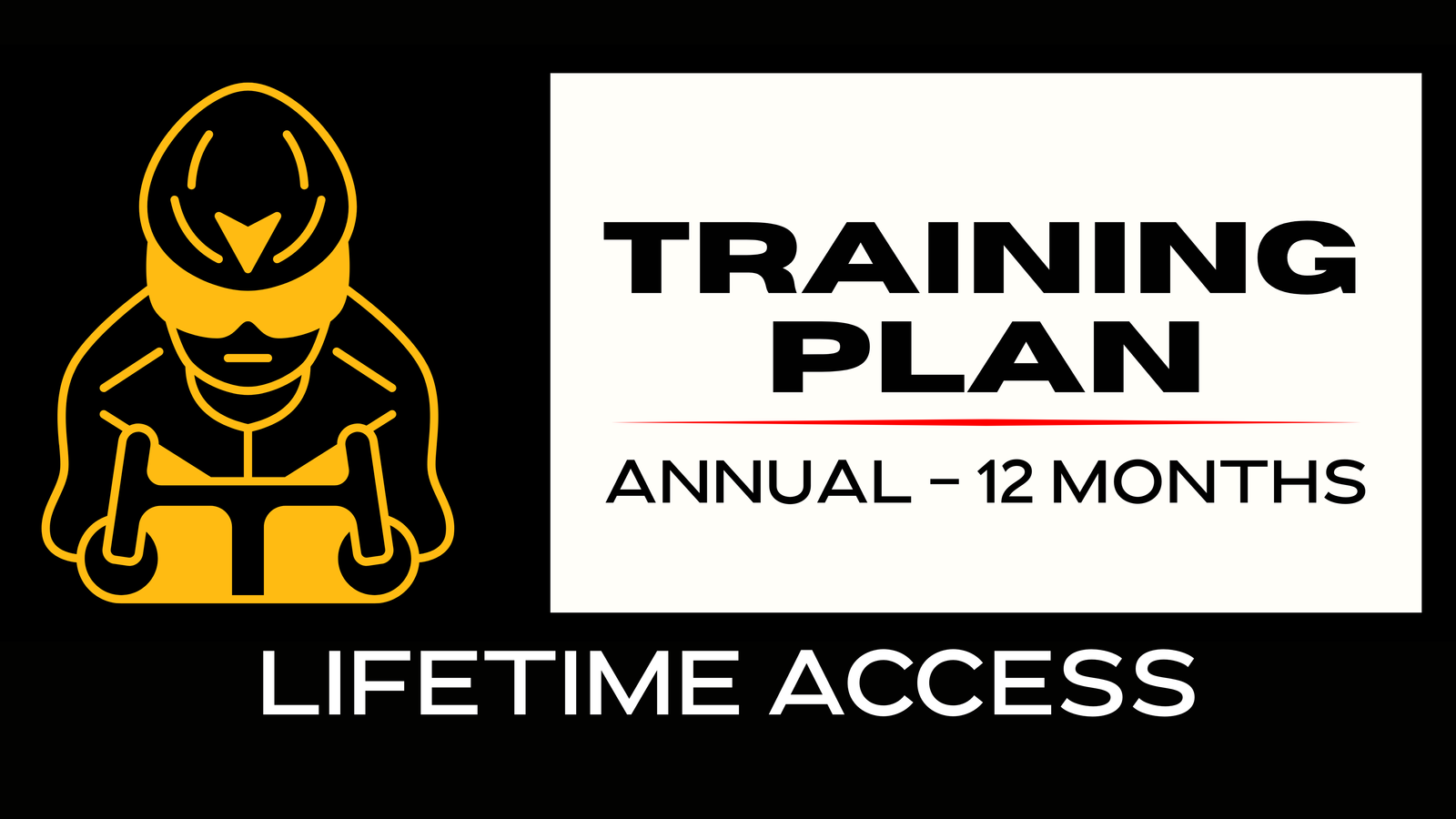 Training Plan – 12 Months/Annual (English) Vitalício